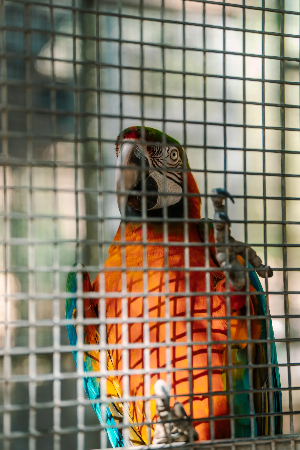Montekristo Animal Park — 3