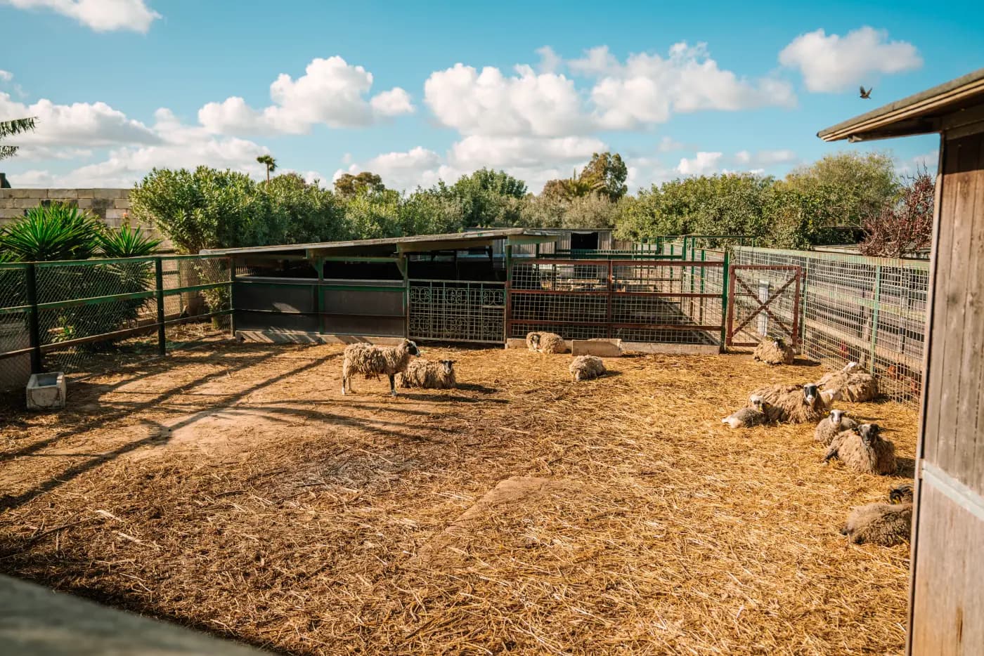 Montekristo Animal Park — 9