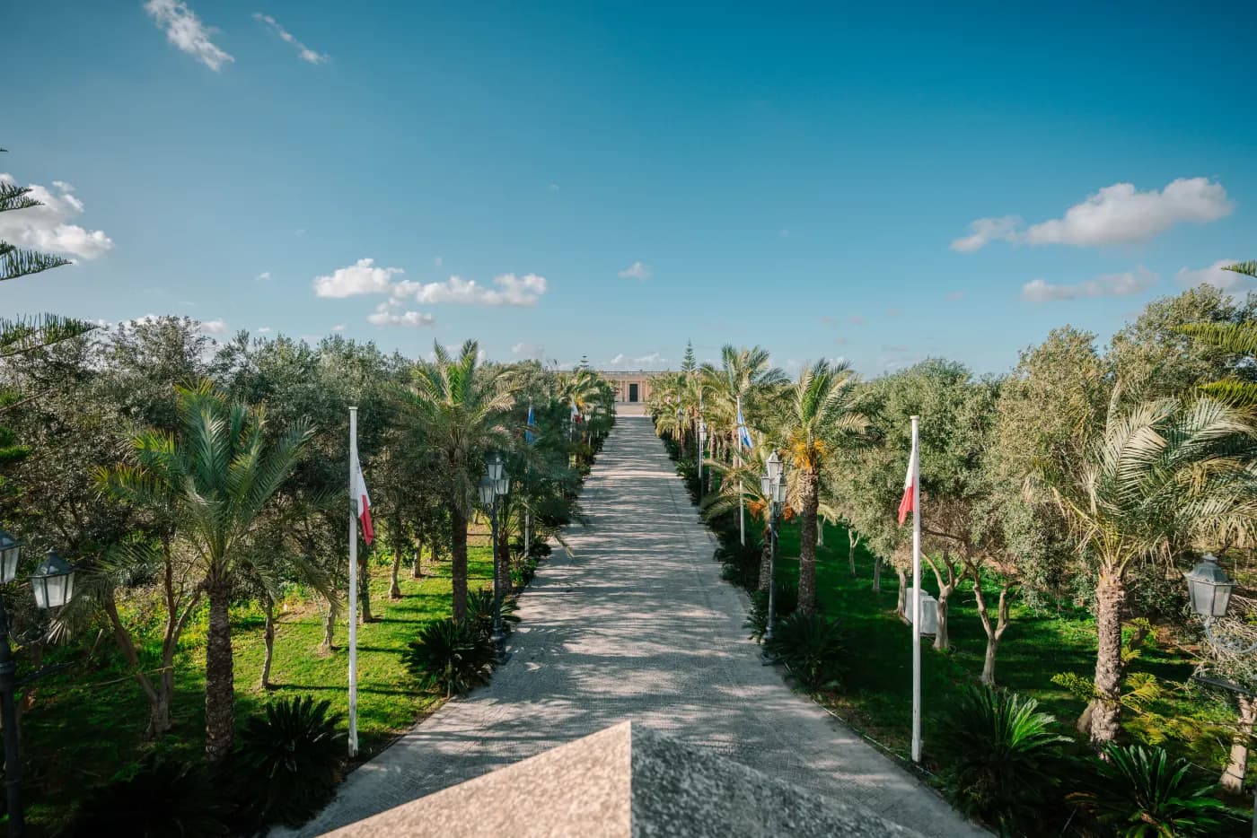 The palm-lined avenue approaching the estate