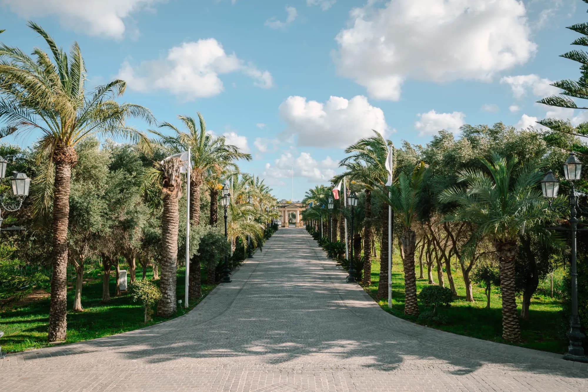 The palm-lined avenue leading through Montekristo Estate